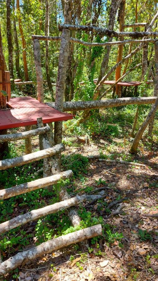 Hotel Lodge Las Cascadas Puerto Clocker 외부 사진