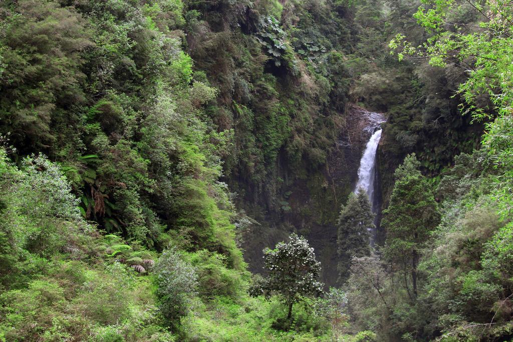 Hotel Lodge Las Cascadas Puerto Clocker 외부 사진